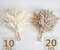 30 PCS Boho Decor, Fluffy Pompas Grass, Natural Dry Pampas Grass Small, Short Pampass Bulk for Boho Room Decor